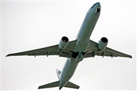 Miguel Martin Cordeiro - Iberian Spotters. Click to see full size photo