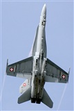Tams. Click to see full size photo