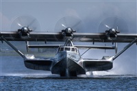 Click here to see full size photo