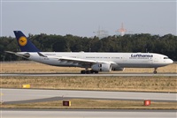 Miguel Alia - Noisy Spotters. Click to see full size photo