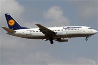 Rubn Gil - Noisy Spotters. Click to see full size photo