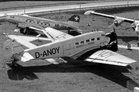 Rodrigo Carvalho - Noisy Spotters. Click to see full size photo
