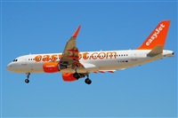 Miguel A. gueda Rguez.  (CANARY ISLANDS SPOTTING). Click to see full size photo