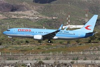 ©Alfonso Solís - Asociación Canary Islands Spotting. Click to see full size photo ©Alfonso Solís - Asociación Canary Islands Spotting. Click to see full size photo