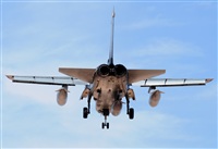 ©Alejandro H.L - Gran Canaria Spotters. Click to see full size photo ©Alejandro H.L - Gran Canaria Spotters. Click to see full size photo