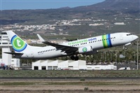 ©Alfonso Solís - Asociación Canary Islands Spotting. Click to see full size photo ©Alfonso Solís - Asociación Canary Islands Spotting. Click to see full size photo