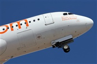 Adrin Alonso Lemes - Lanzarote Spotters. Click to see full size photo