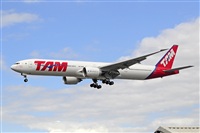 Miguel A. gueda Rguez.  (CANARY ISLANDS SPOTTING). Click to see full size photo