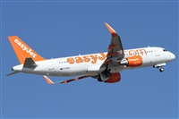 ©Alfonso Solís - Asociación Canary Islands Spotting. Click to see full size photo ©Alfonso Solís - Asociación Canary Islands Spotting. Click to see full size photo