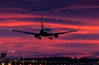 Javier de la Cruz - CANARY ISLANDS SPOTTING. Click to see full size photo