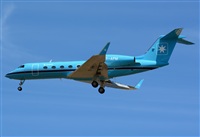©Alejandro H.L - Gran Canaria Spotters. Click to see full size photo ©Alejandro H.L - Gran Canaria Spotters. Click to see full size photo