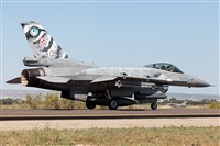 Florencio Martn Melin - Lanzarote Spotters. Click to see full size photo