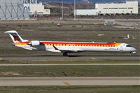 ©Alfonso Solís - Asociación Canary Islands Spotting. Click to see full size photo ©Alfonso Solís - Asociación Canary Islands Spotting. Click to see full size photo