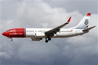 Alfonso Sols - Asociacin Canary Islands Spotting. Click to see full size photo