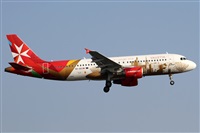 Alfonso Sols - Asociacin Canary Islands Spotting. Haz click para ampliar