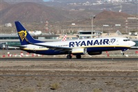 ©Alfonso Solís - Asociación Canary Islands Spotting. Click to see full size photo ©Alfonso Solís - Asociación Canary Islands Spotting. Click to see full size photo