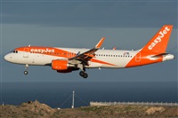 ©Adolfo Bento - Gran Canaria Spotters. Click to see full size photo ©Adolfo Bento - Gran Canaria Spotters. Click to see full size photo