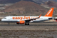 Alfonso Sols - Asociacin Canary Islands Spotting. Haz click para ampliar