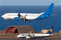 Cndida Hidalgo - Gran Canaria Spotters. Click to see full size photo