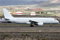 Alfonso Sols - Asociacin Canary Islands Spotting. Click to see full size photo
