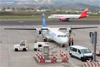 Miguel A. gueda Rguez.  (CANARY ISLANDS SPOTTING). Click to see full size photo