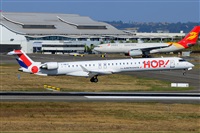 Miguel A. gueda Rguez.  (CANARY ISLANDS SPOTTING). Haz click para ampliar