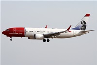 ©Alfonso Solís - Asociación Canary Islands Spotting. Click to see full size photo ©Alfonso Solís - Asociación Canary Islands Spotting. Click to see full size photo