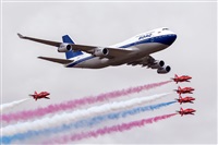 Javier de la Cruz - CANARY ISLANDS SPOTTING. Click to see full size photo