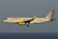 ©J. Victor Vega-Gran Canaria Spotters. Click to see full size photo ©J. Victor Vega-Gran Canaria Spotters. Click to see full size photo