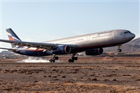 Javier de la Cruz - CANARY ISLANDS SPOTTING. Click to see full size photo
