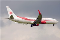 Miguel A. gueda Rguez.  (CANARY ISLANDS SPOTTING). Click to see full size photo