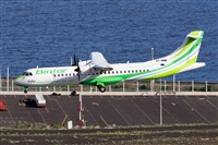 ©Luis Rguez - La Palma Spotting. Click to see full size photo ©Luis Rguez - La Palma Spotting. Click to see full size photo