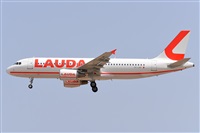 Miguel A. gueda Rguez.  (CANARY ISLANDS SPOTTING). Click to see full size photo