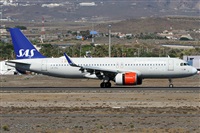 ©Alfonso Solís - Asociación Canary Islands Spotting. Click to see full size photo ©Alfonso Solís - Asociación Canary Islands Spotting. Click to see full size photo