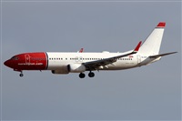 Alfonso Sols - Asociacin Canary Islands Spotting. Click to see full size photo