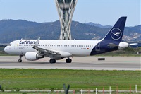 Miguel A. gueda Rguez.  (CANARY ISLANDS SPOTTING). Click to see full size photo