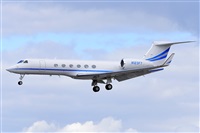 Miguel A. gueda Rguez.  (CANARY ISLANDS SPOTTING). Click to see full size photo