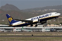 Alfonso Sols - Asociacin Canary Islands Spotting. Click to see full size photo