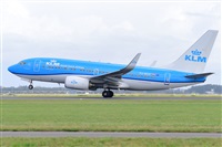 Miguel A. gueda Rguez.  (CANARY ISLANDS SPOTTING). Click to see full size photo
