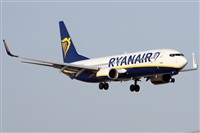 Alfonso Sols - Asociacin Canary Islands Spotting. Haz click para ampliar