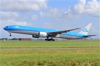Miguel A. gueda Rguez.  (CANARY ISLANDS SPOTTING). Click to see full size photo