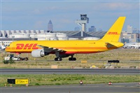 Miguel A. gueda Rguez.  (CANARY ISLANDS SPOTTING). Click to see full size photo