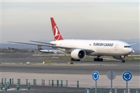©Adolfo Bento - Gran Canaria Spotters. Click to see full size photo ©Adolfo Bento - Gran Canaria Spotters. Click to see full size photo
