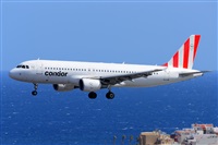 Miguel A. gueda Rguez.  (CANARY ISLANDS SPOTTING). Click to see full size photo