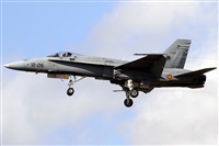 ©Javier Rodríguez. Click to see full size photo ©Javier Rodríguez. Click to see full size photo