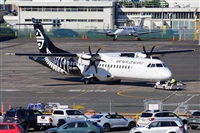 �Miguel A. �gueda Rguez.  (CANARY ISLANDS SPOTTING). Click to see full size photo