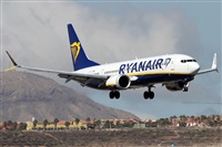 �Alfonso Sol�s - Asociaci�n Canary Islands Spotting. Click to see full size photo