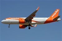 �Alfonso Sol�s - Asociaci�n Canary Islands Spotting. Click to see full size photo