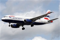 �Alfonso Sol�s - Asociaci�n Canary Islands Spotting. Click to see full size photo