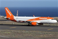 �Alfonso Sol�s - Asociaci�n Canary Islands Spotting. Click to see full size photo